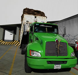 transporte